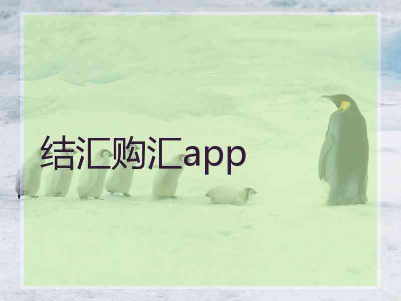 结汇购汇app