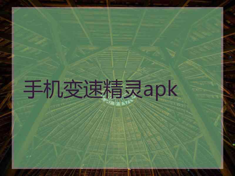 手机变速精灵apk