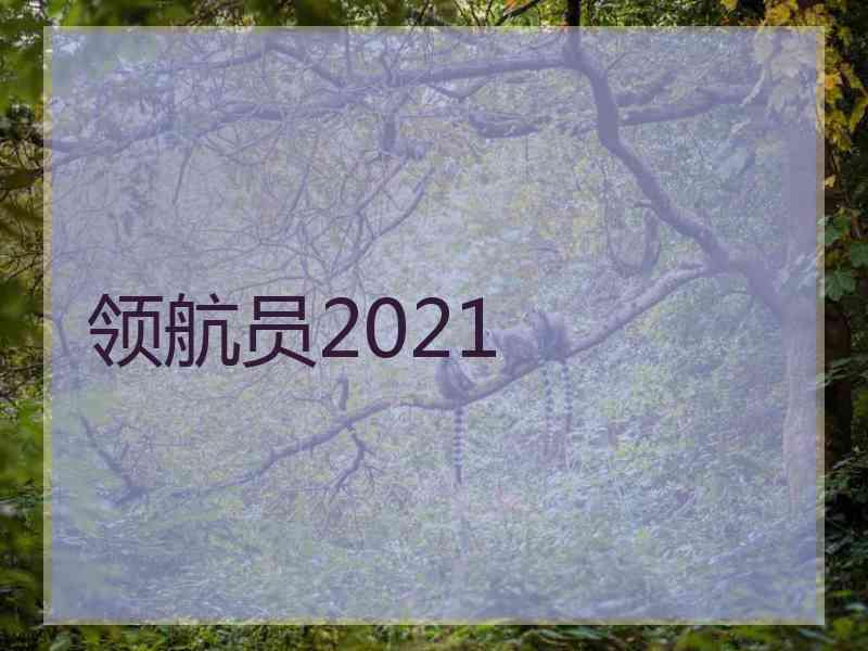 领航员2021