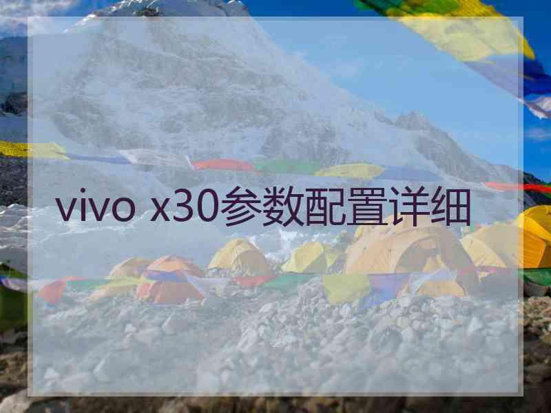 vivo x30参数配置详细