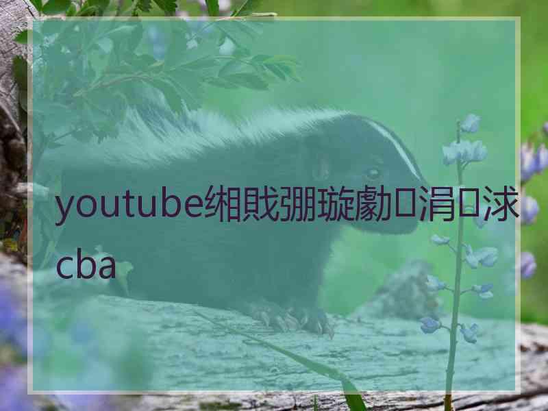 youtube缃戝弸璇勮涓浗cba