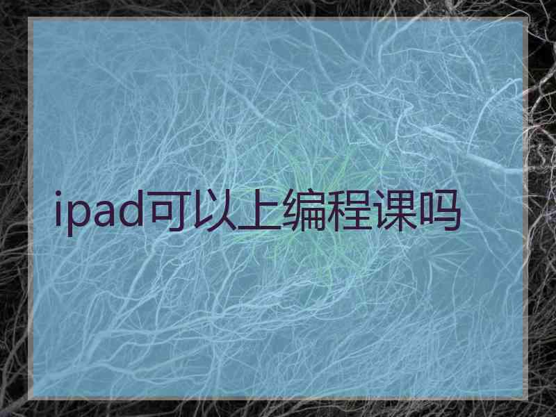 ipad可以上编程课吗