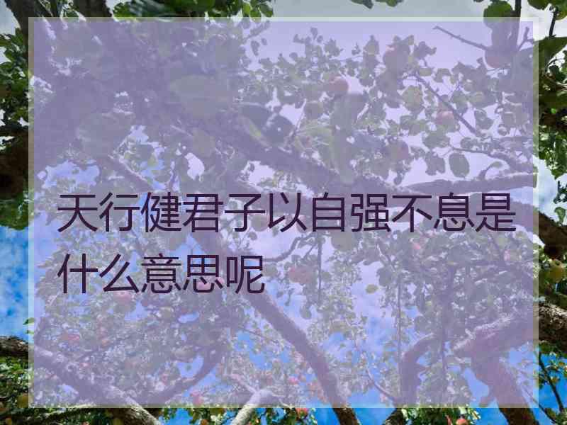 天行健君子以自强不息是什么意思呢