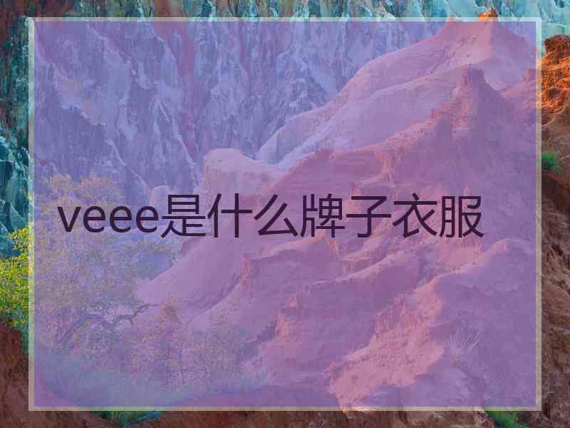 veee是什么牌子衣服