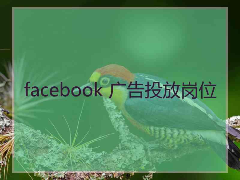 facebook 广告投放岗位