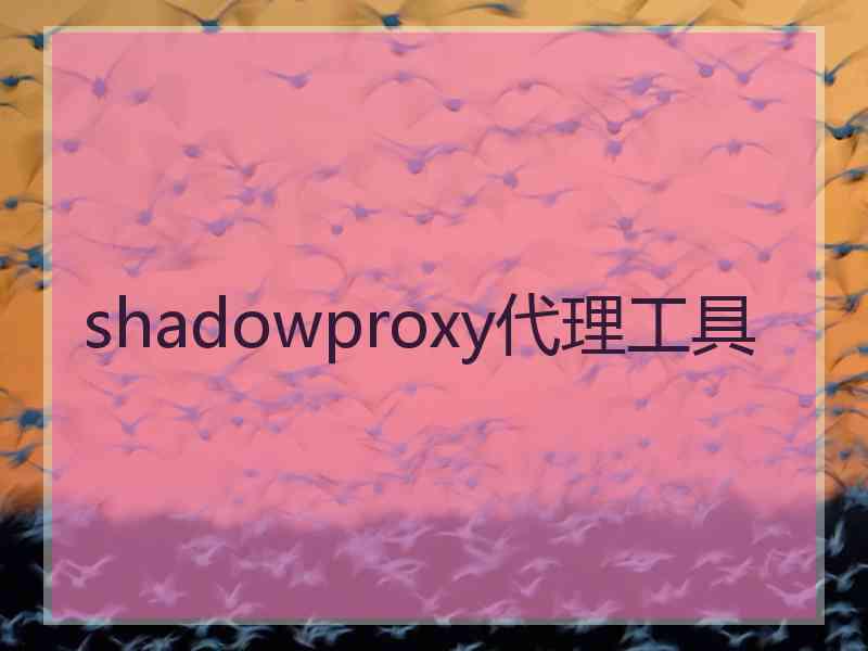 shadowproxy代理工具