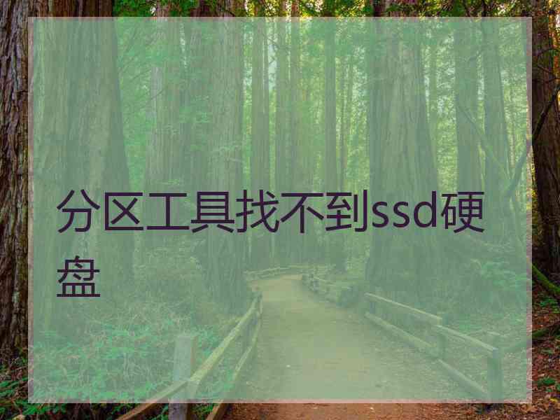 分区工具找不到ssd硬盘