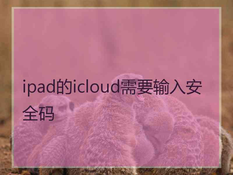 ipad的icloud需要输入安全码