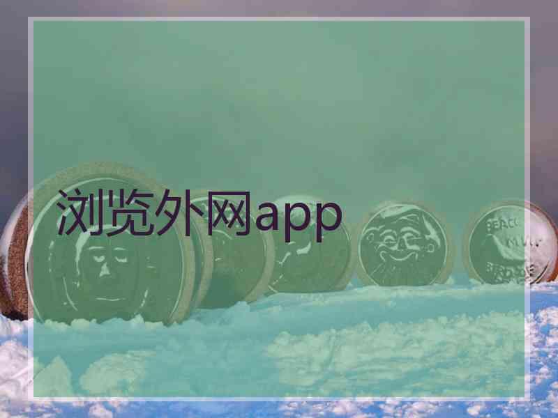 浏览外网app