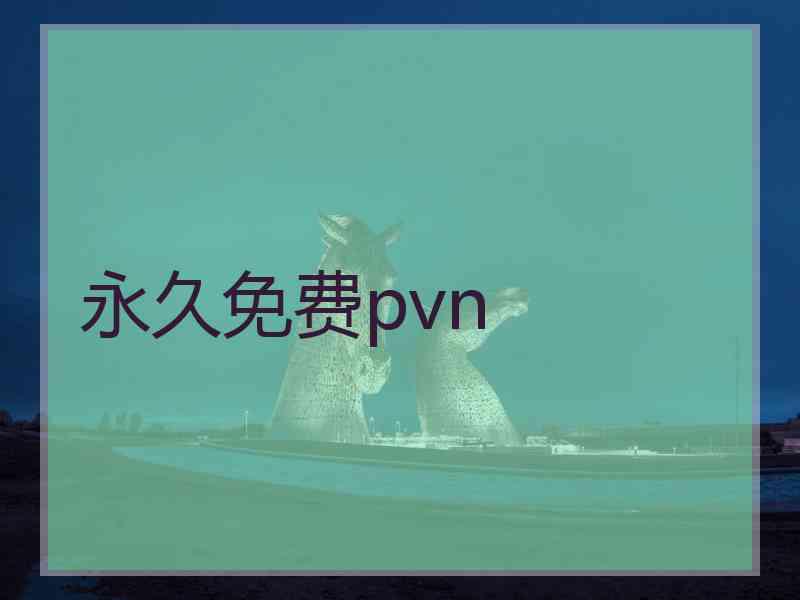 永久免费pvn