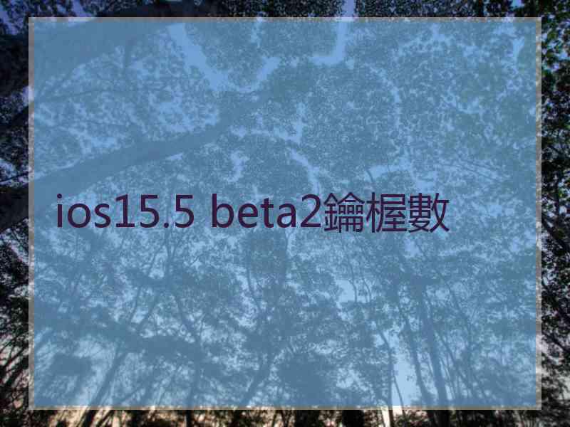 ios15.5 beta2鑰楃數