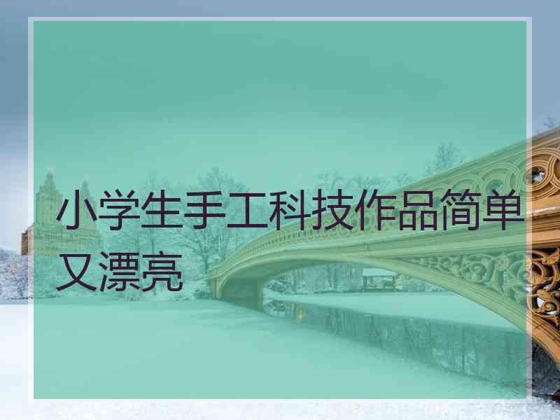 小学生手工科技作品简单又漂亮