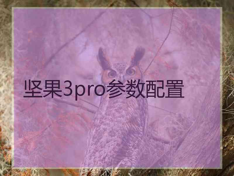 坚果3pro参数配置