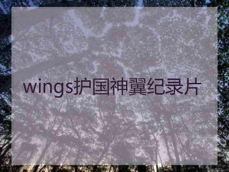 wings护国神翼纪录片