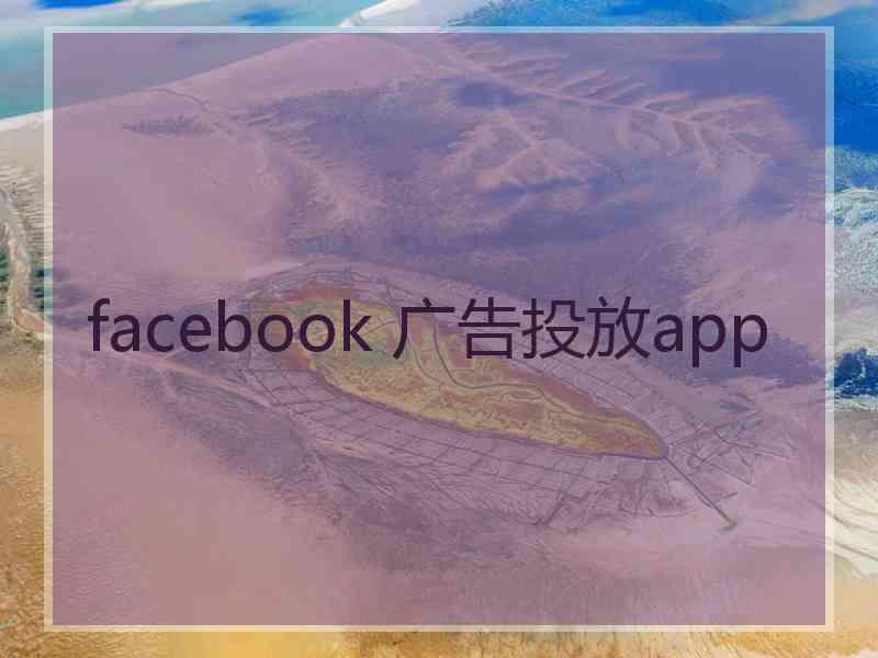 facebook 广告投放app