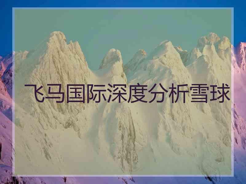 飞马国际深度分析雪球