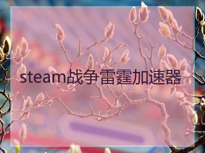 steam战争雷霆加速器