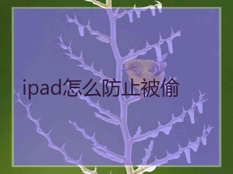 ipad怎么防止被偷