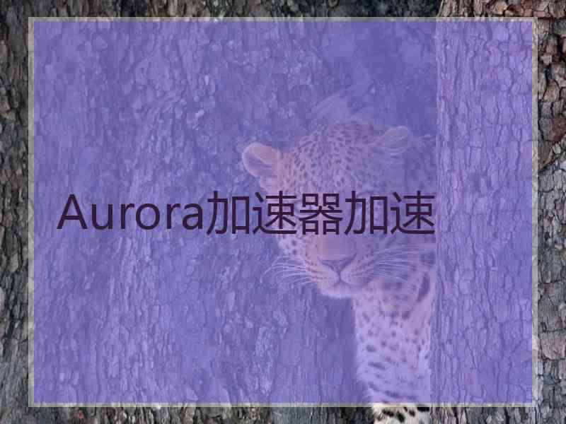 Aurora加速器加速