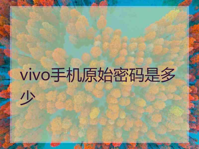 vivo手机原始密码是多少