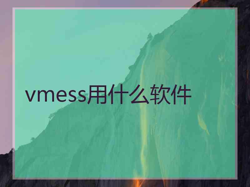 vmess用什么软件