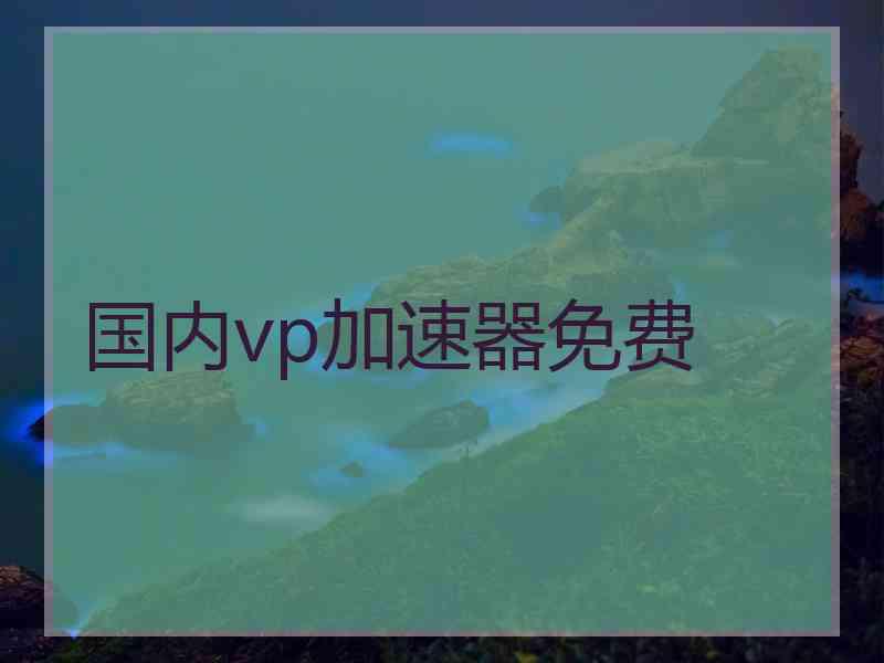 国内vp加速器免费