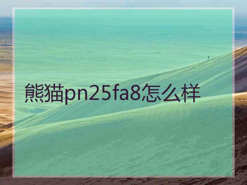 熊猫pn25fa8怎么样