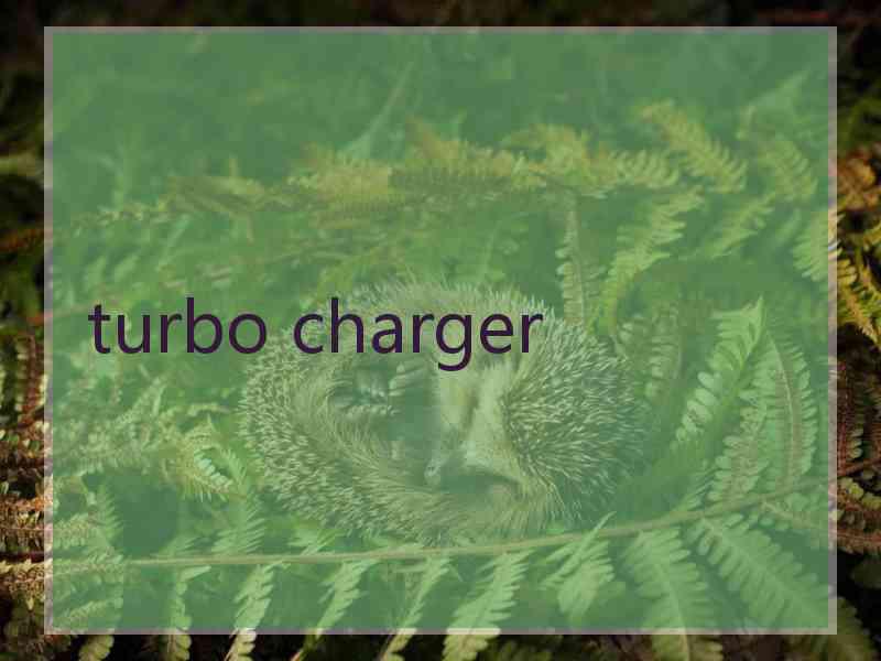 turbo charger