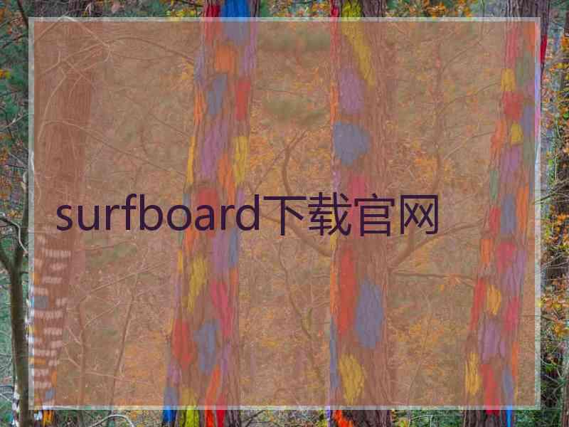 surfboard下载官网