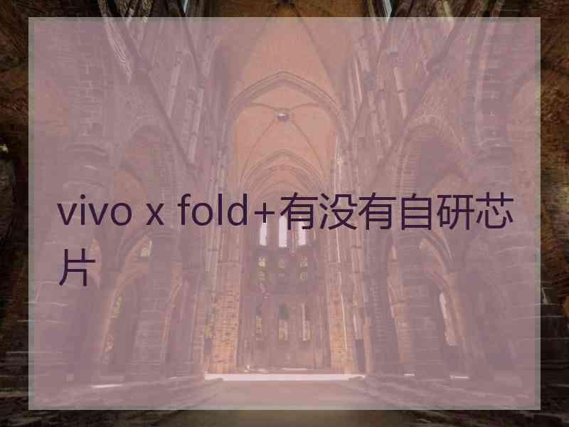 vivo x fold+有没有自研芯片