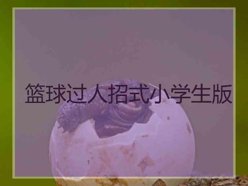 篮球过人招式小学生版