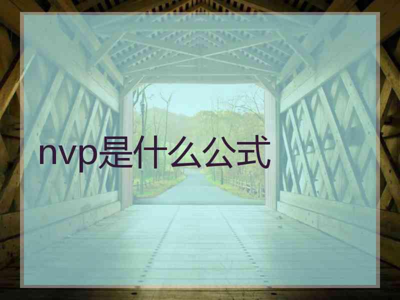 nvp是什么公式