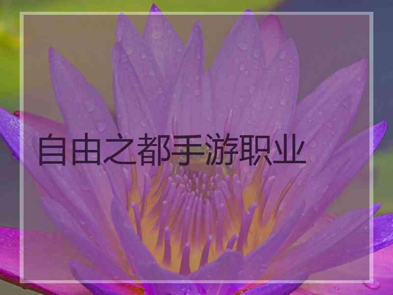 自由之都手游职业