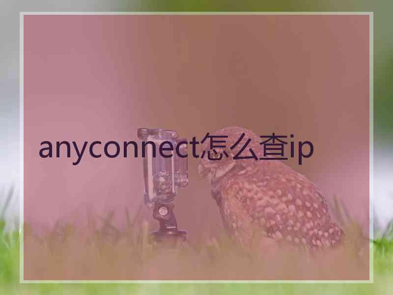 anyconnect怎么查ip