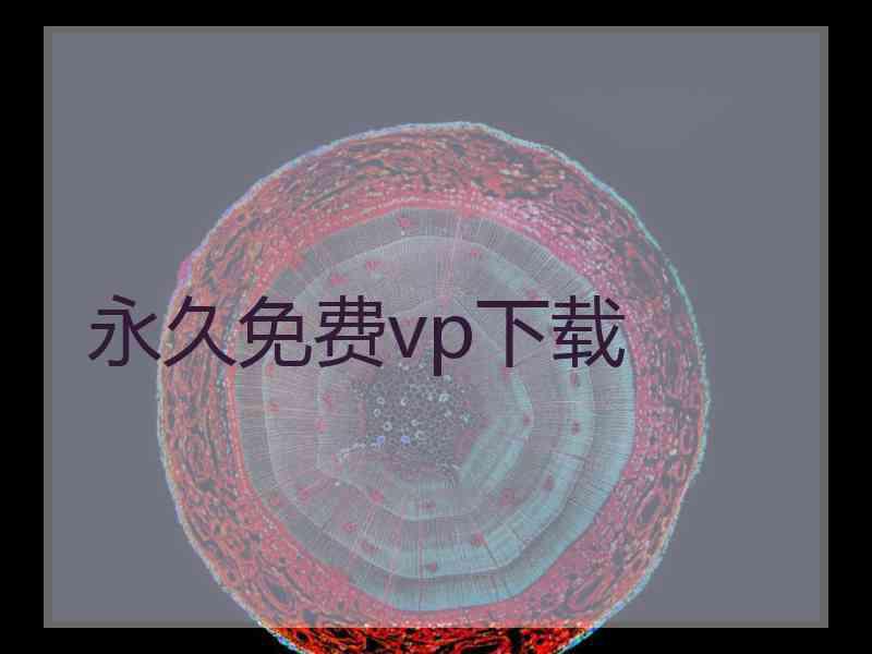 永久免费vp下载