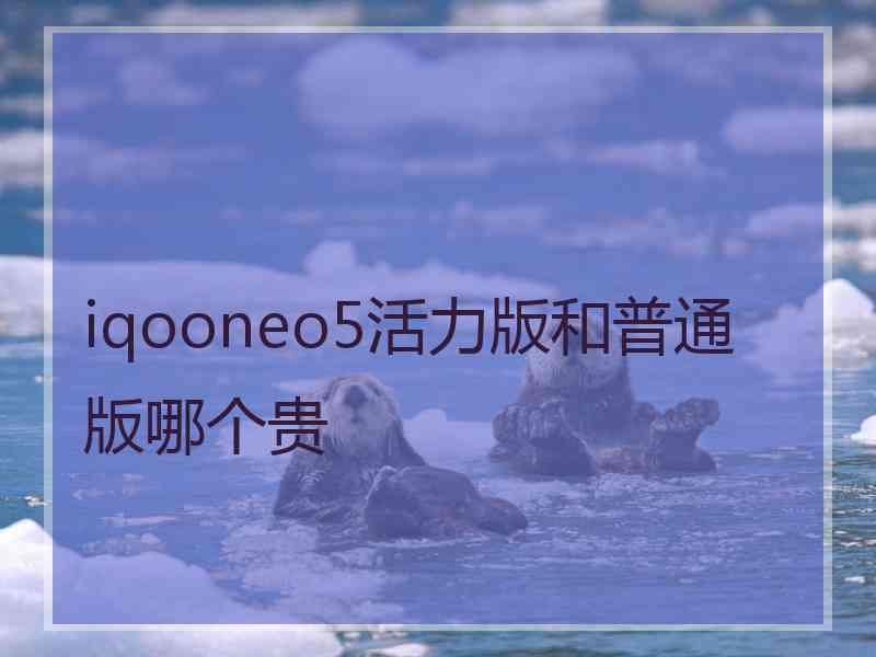 iqooneo5活力版和普通版哪个贵