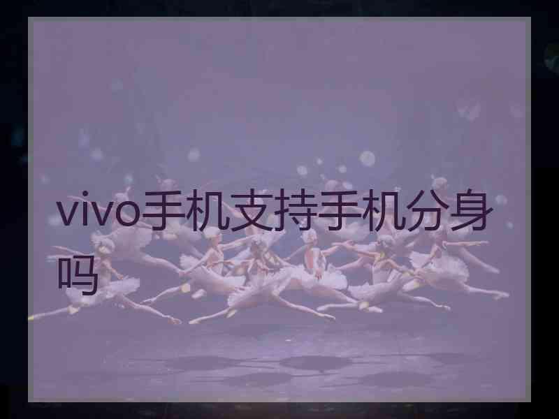 vivo手机支持手机分身吗