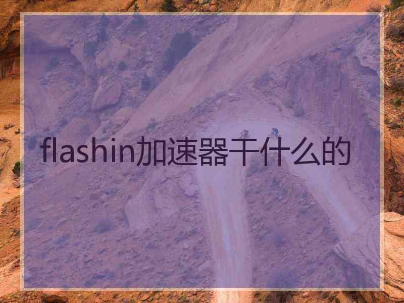 flashin加速器干什么的