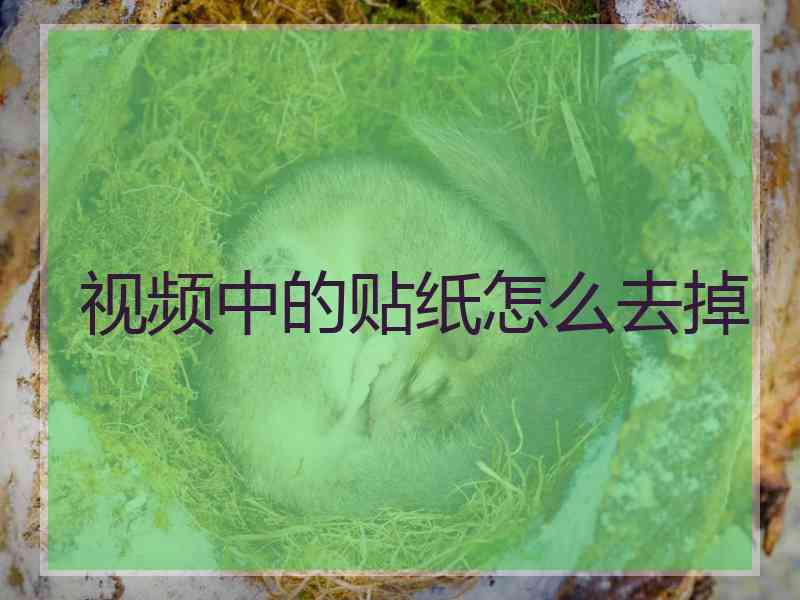 视频中的贴纸怎么去掉