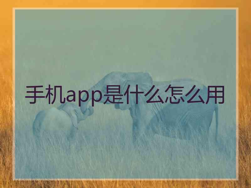 手机app是什么怎么用