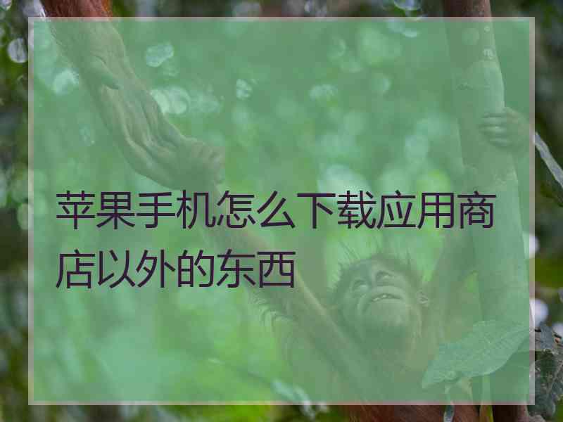 苹果手机怎么下载应用商店以外的东西