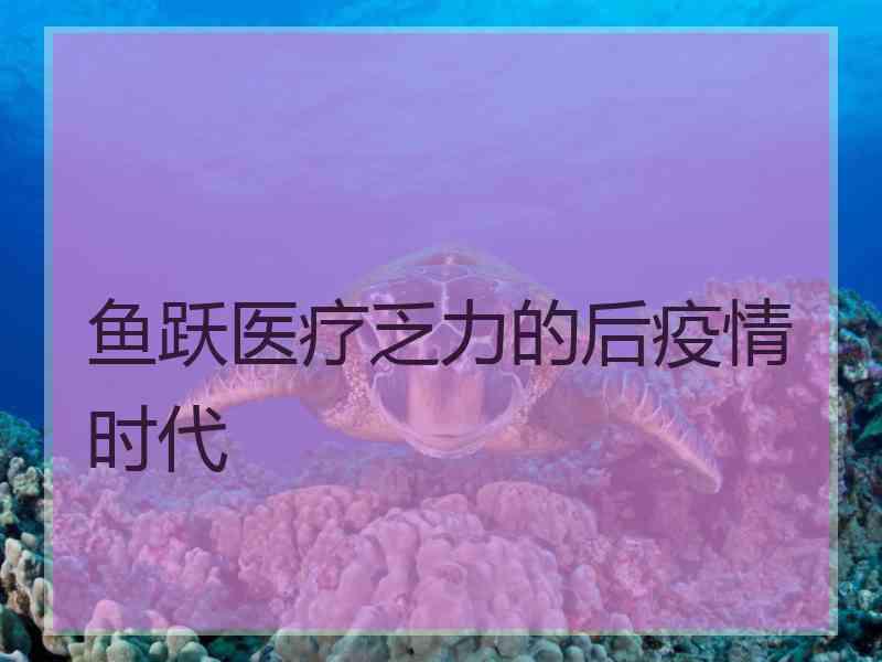 鱼跃医疗乏力的后疫情时代