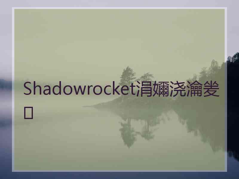 Shadowrocket涓嬭浇瀹夎