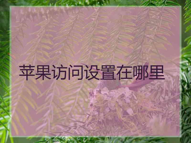 苹果访问设置在哪里