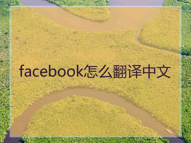 facebook怎么翻译中文