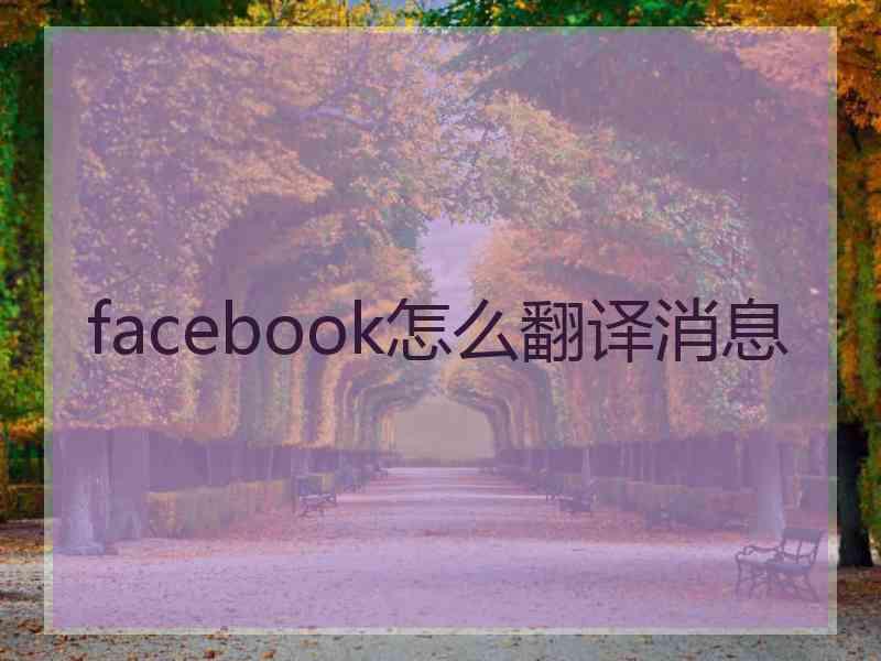 facebook怎么翻译消息