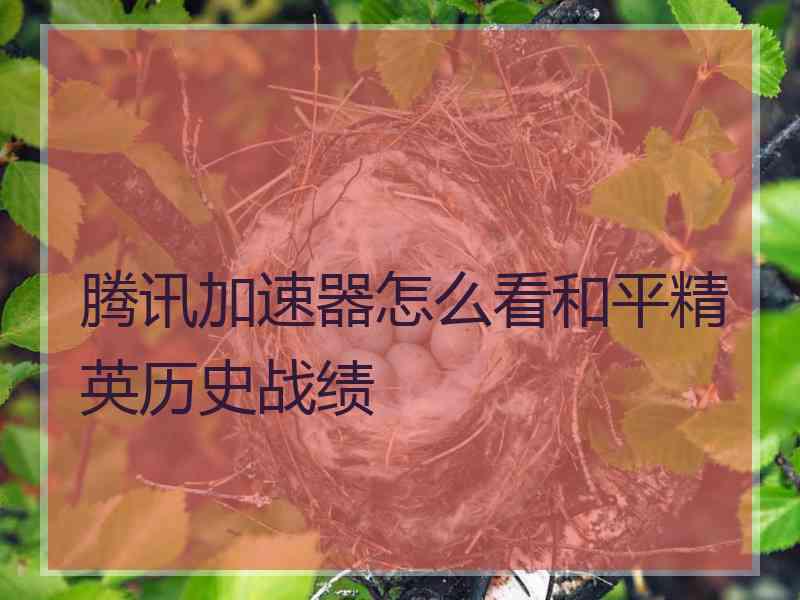 腾讯加速器怎么看和平精英历史战绩