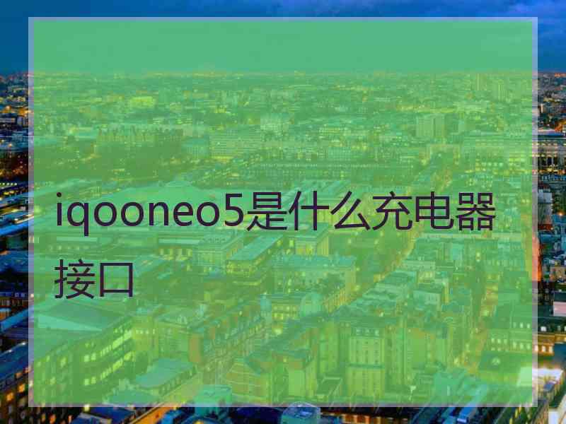 iqooneo5是什么充电器接口