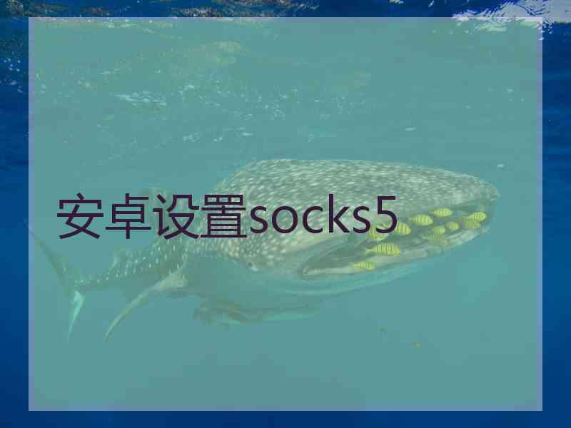 安卓设置socks5