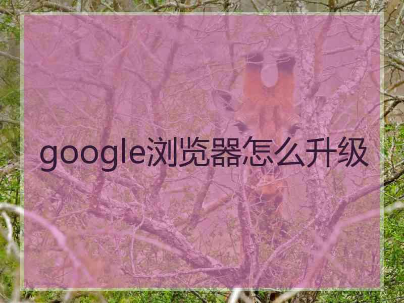 google浏览器怎么升级